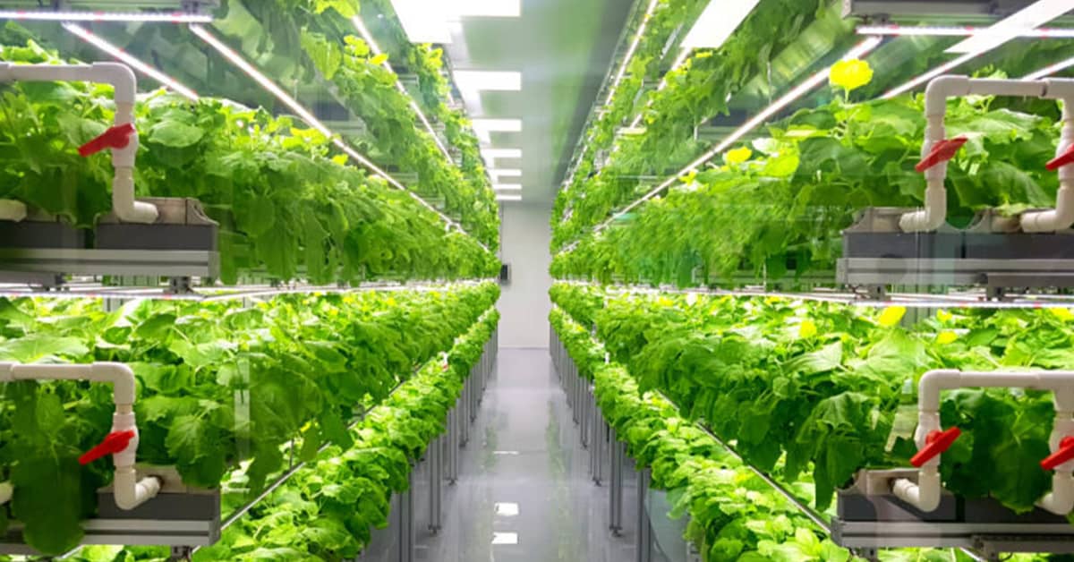 vertical farming innovation